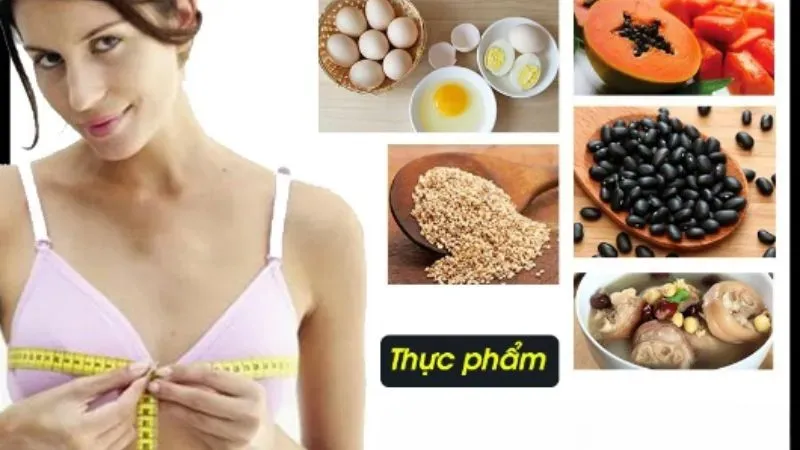 Lợi ích của việc bổ sung thực phẩm tăng vòng 1
