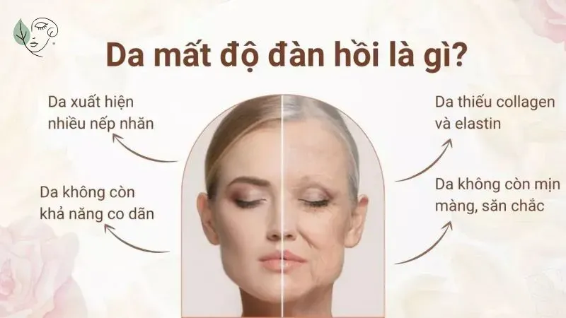 Da mất độ đàn hồi là gì?