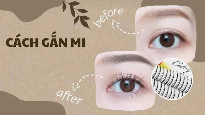 Hướng dẫn các bước gắn lông mi giả chi tiết