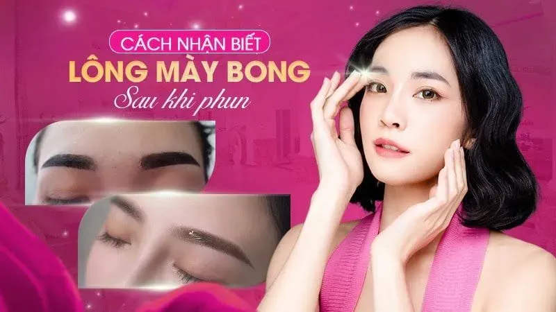 Quá trình bong của lông mày
