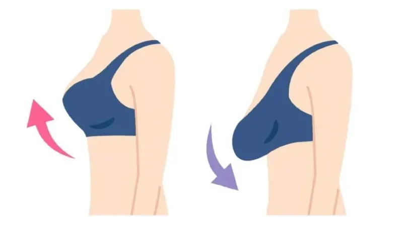 Các cách để hỗ trợ ngực phát triển to hơn