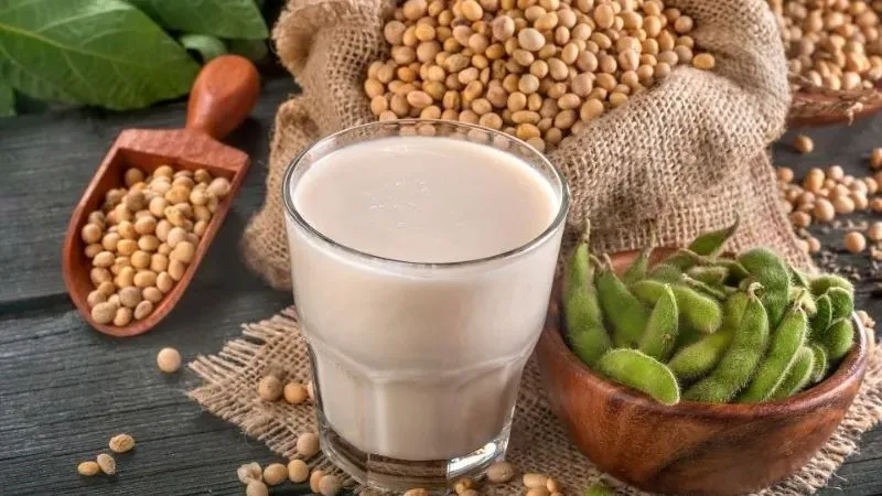 Cách làm ngực to nhanh trong 1 tuần bằng chế độ dinh dưỡng