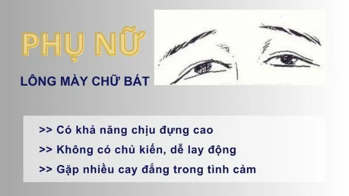 Tướng chân mày chữ bát ở nữ giới