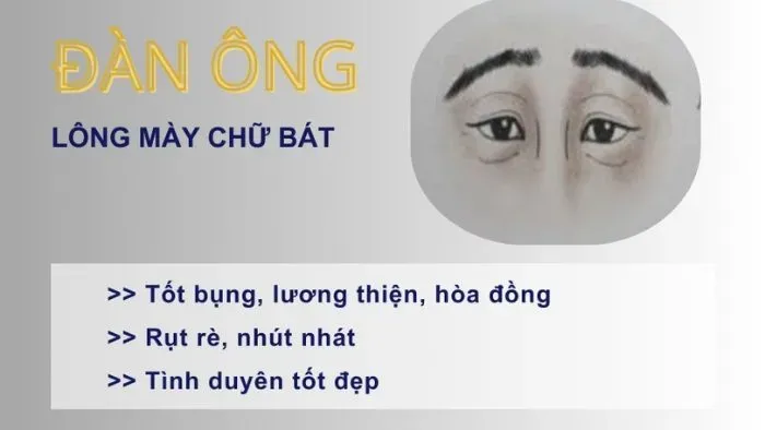 Tướng chân mày chữ bát ở nam giới