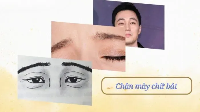 Ý nghĩa của chân mày chữ bát đối với nam và nữ
