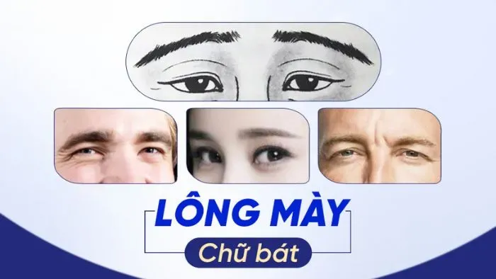 Chân mày chữ bát là gì?