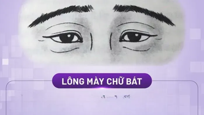 Hướng dẫn cách sửa dáng lông mày chữ bát