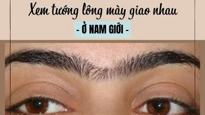 Đàn ông sở hữu dáng mày giao nhau