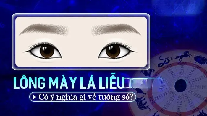 Ý nghĩa của chân mày lá liễu trong tướng học