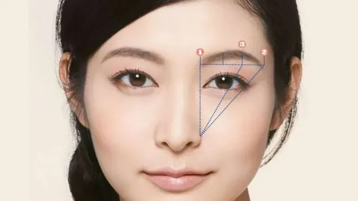 Những lưu ý khi vẽ và chăm sóc lông mày lá liễu