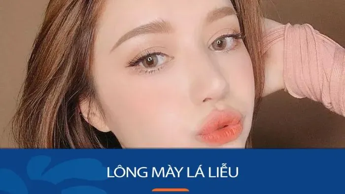 Chân mày lá liễu nữ là gì?