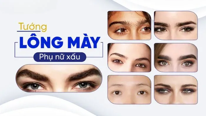 Các dáng lông mày phong thủy xấu 