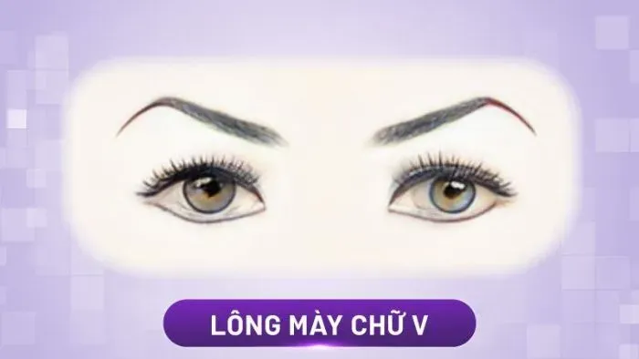 Các dáng chân mày phong thủy đại cát phổ biến 