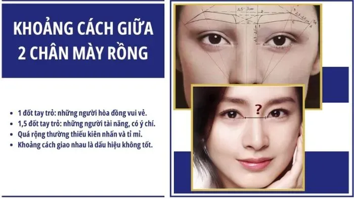 Các yếu tố ảnh hưởng đến vận mệnh của lông mày rồng