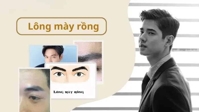 Ý nghĩa tướng số lông mày rồng ở nam và nữ