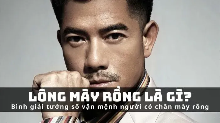 Tướng chân mày rồng là như thế nào?