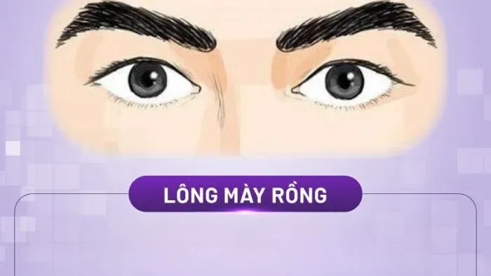 Các yếu tố ảnh hưởng đến vận mệnh của lông mày rồng