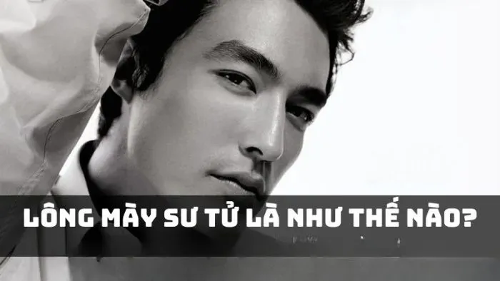 Chân mày sư tử là gì?