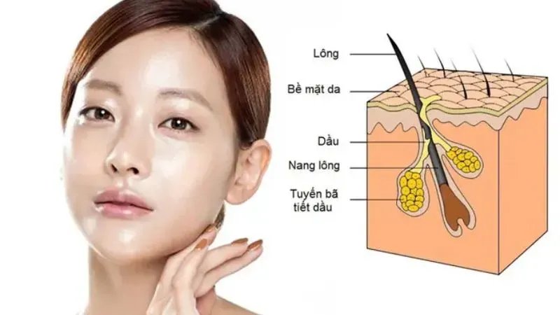 Da dầu là gì? Nguyên nhân gây ra da dầu