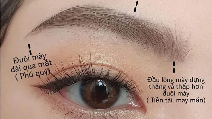 Các dáng chân mày may mắn, phú quý cho nữ