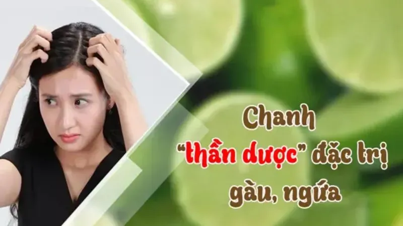 Các sản phẩm làm sạch da đầu tự nhiên