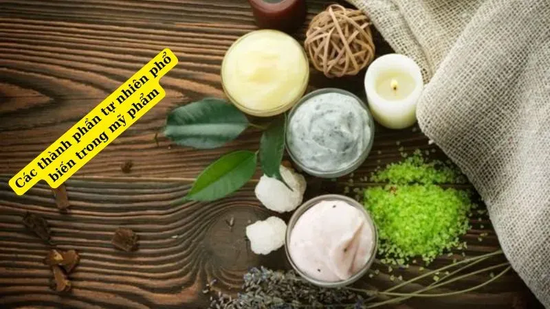 Các thành phần tự nhiên phổ biến trong mỹ phẩm