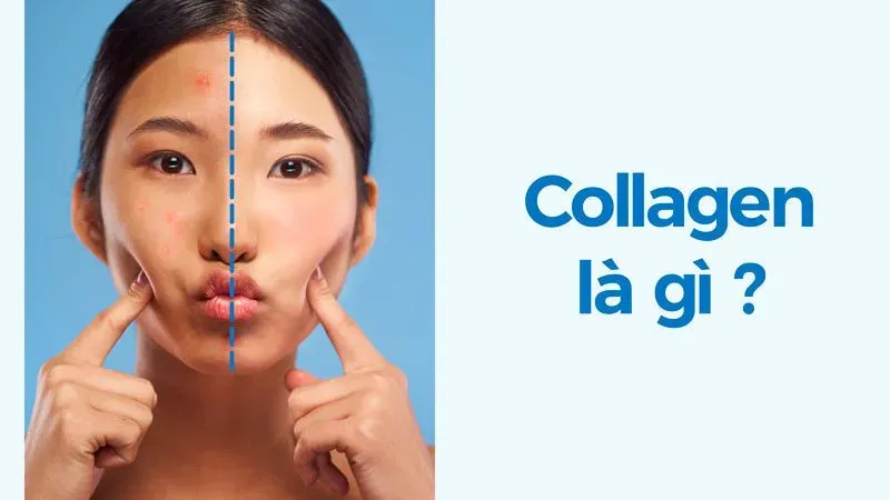 Collagen là gì?