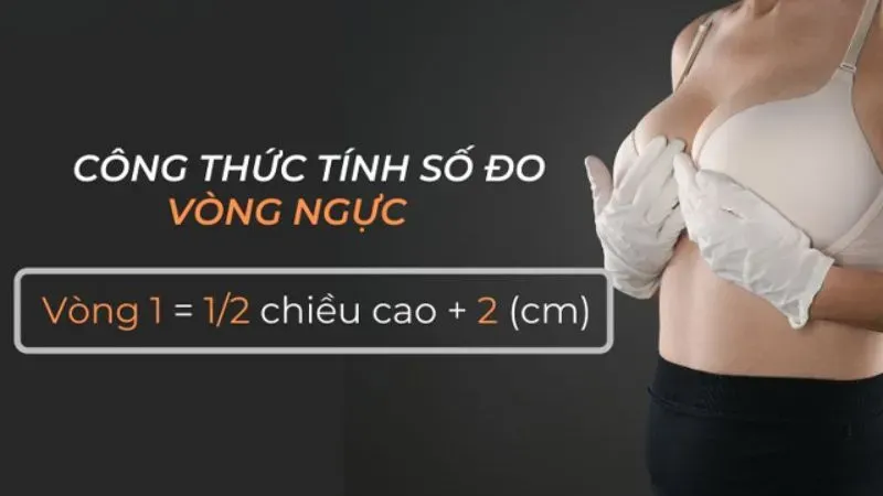 Công thức tính số đo vòng 1