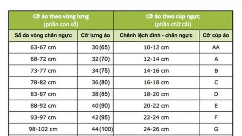 Khái niệm về vòng 1 chuẩn