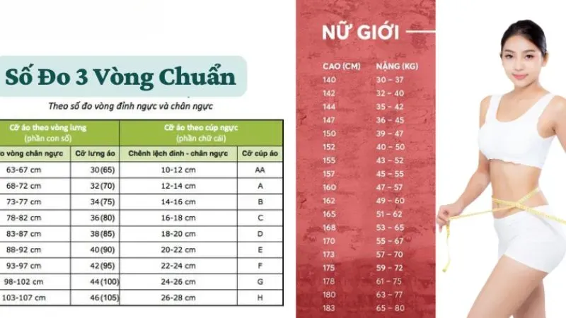 Số đo vòng 1 bao nhiêu là chuẩn?