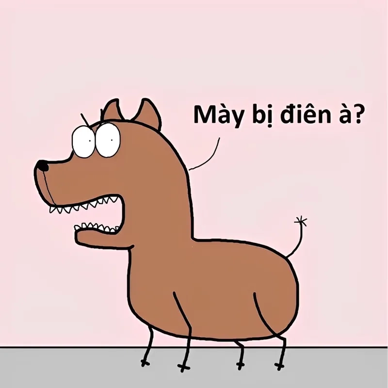 Xem ngay ảnh chế meme hài hài hước nhất hôm nay