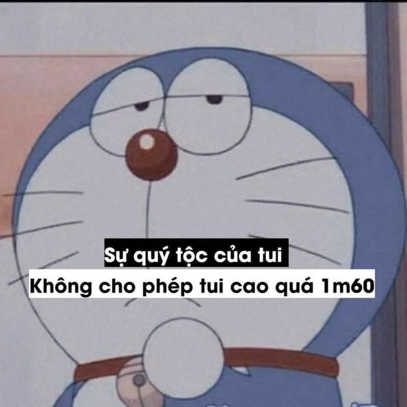 Cười nghiêng ngả với chế bựa meme hài mới nhất