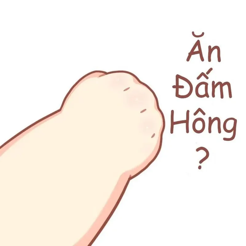 Không thể bỏ qua bộ meme hài chế cực hot