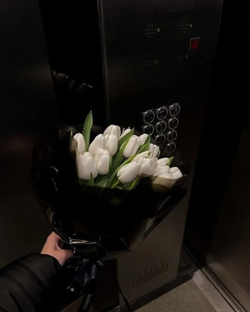 Bộ sưu tập hình ảnh hoa tulip rực rỡ sắc màu