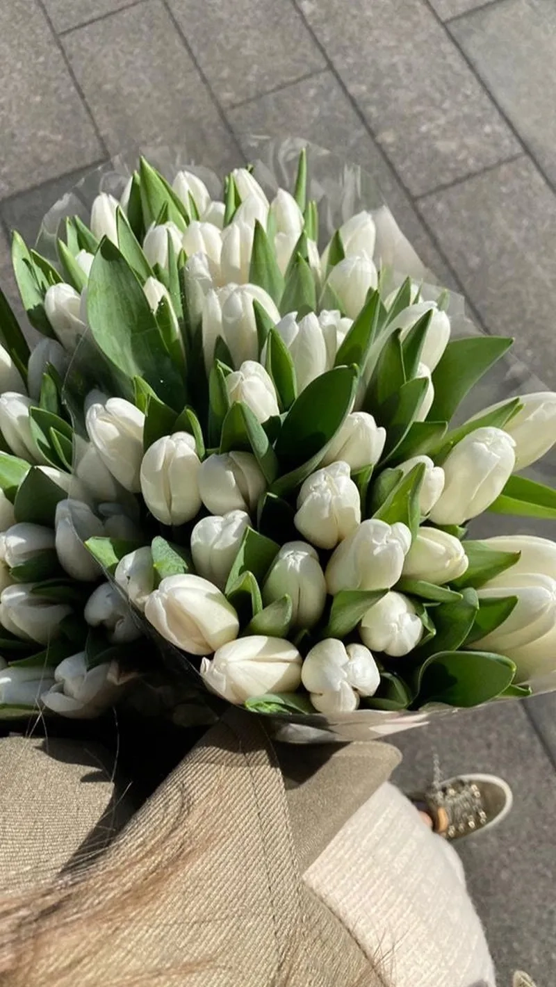 Tận hưởng vẻ đẹp cuốn hút của ảnh hoa tulip đẹp
