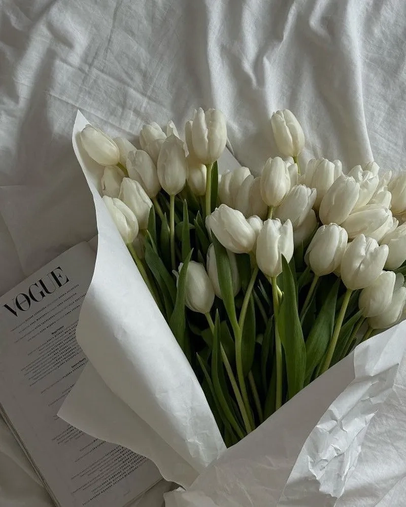 Sự tinh khiết và thanh lịch trong ảnh hoa tulip trắng