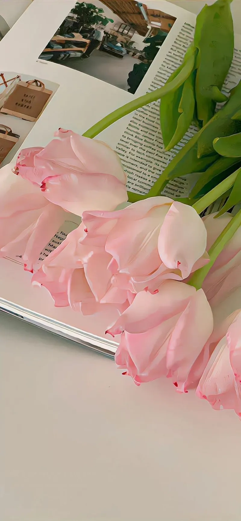 Tươi mới và rực rỡ với ảnh hoa tulip sáng