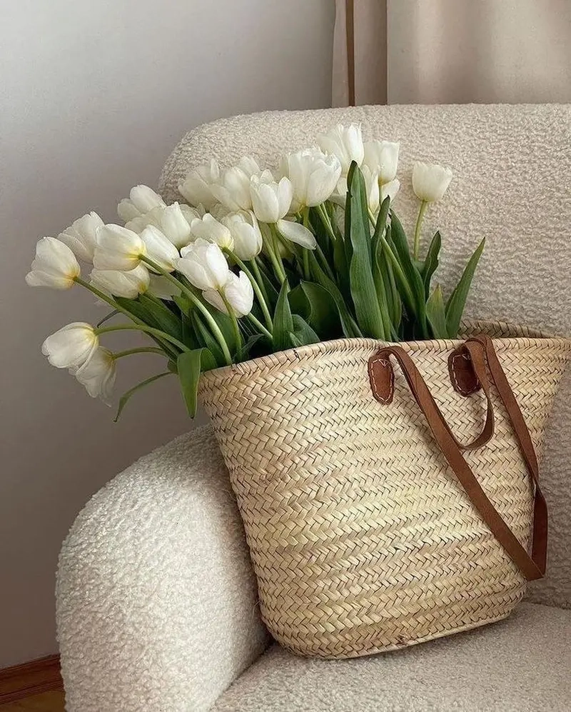 Dễ thương và tươi sáng với ảnh hoa tulip cute