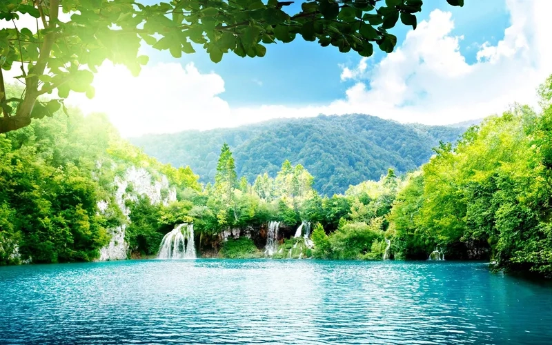 Ảnh nền máy tính hoạt hình đẹp dễ thương, ngộ nghĩnh, phù hợp mọi lứa tuổi