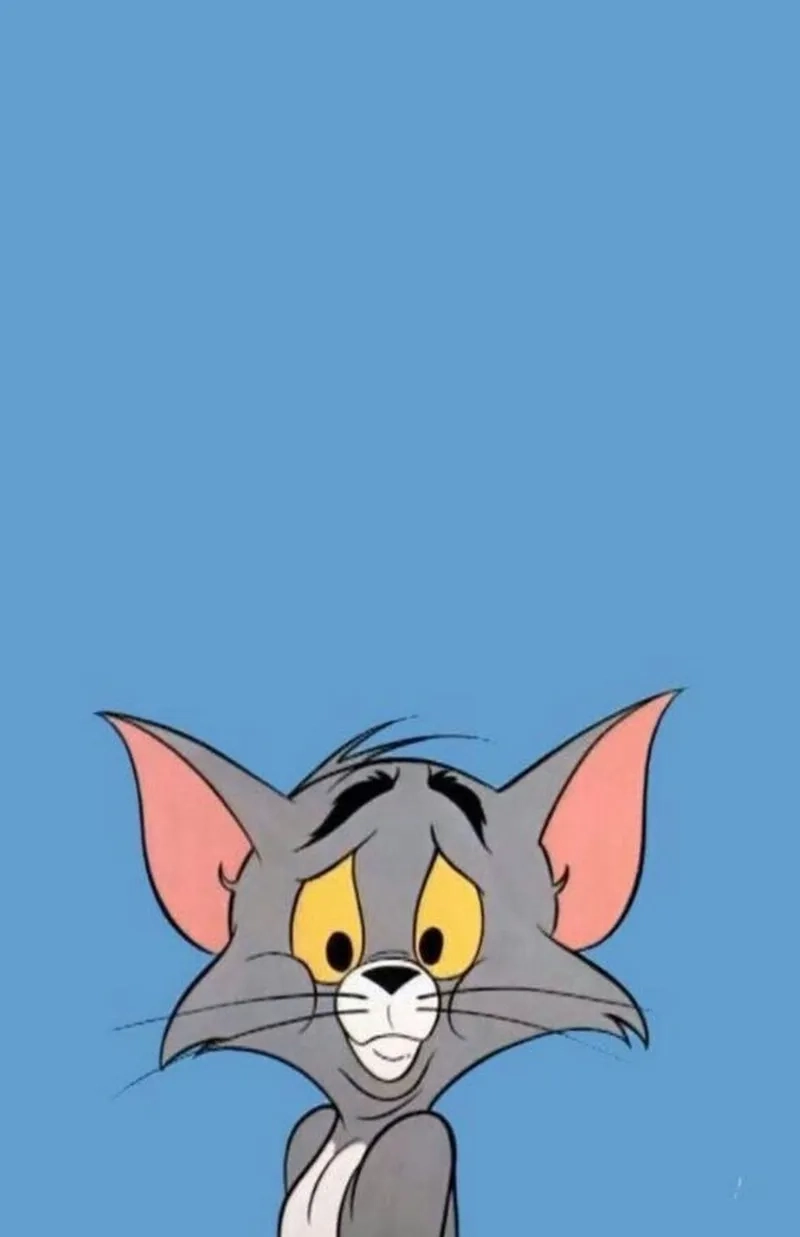 Tom cat meme khoảnh khắc đi vào lịch sử meme