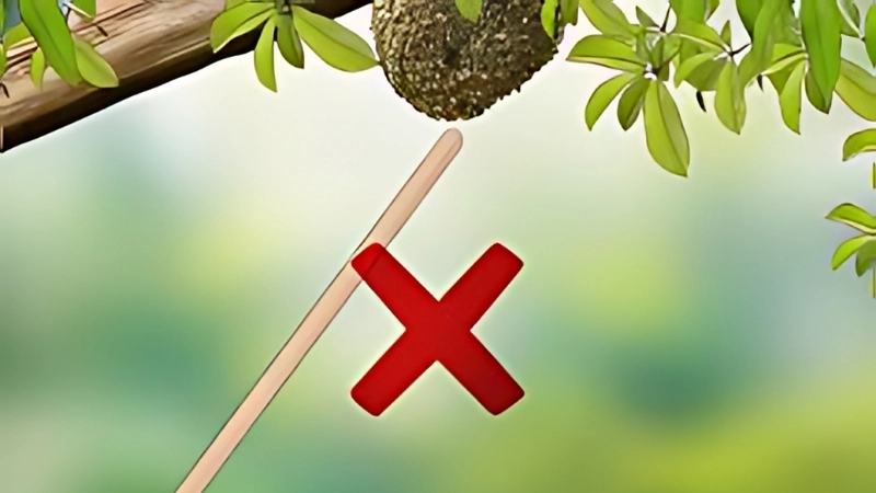 Những điều cần tránh khi bị ong đốt vào mắt