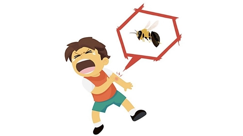 Không nên chạy khi bị ong đuổi