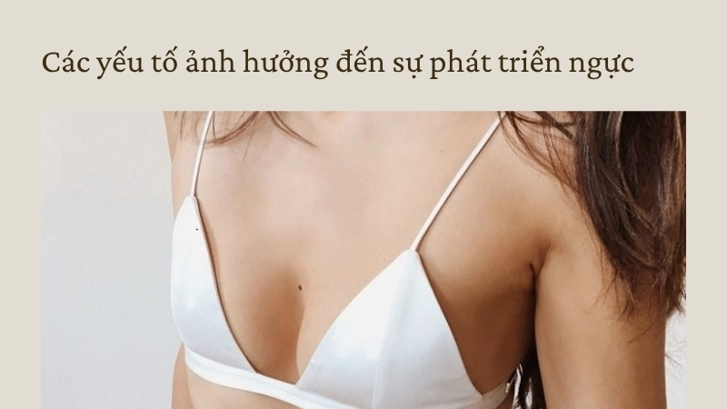 Các yếu tố ảnh hưởng đến sự phát triển ngực