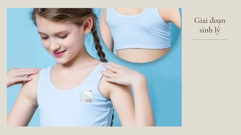Giai đoạn sinh lý