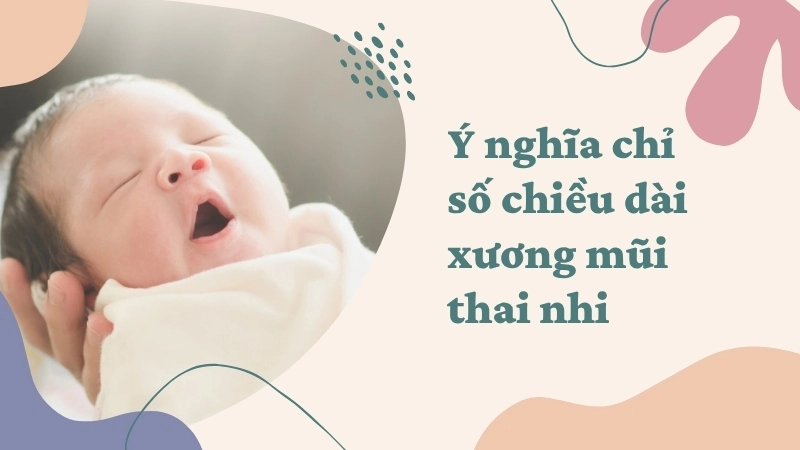 Ý nghĩa chỉ số chiều dài xương mũi thai nhi