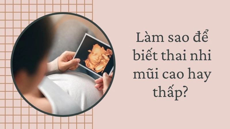 Làm sao để biết thai nhi mũi cao hay thấp? 