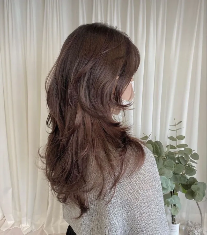 Tìm hiểu nâu hạt dẻ phai ra màu gì để giữ tóc luôn đẹp